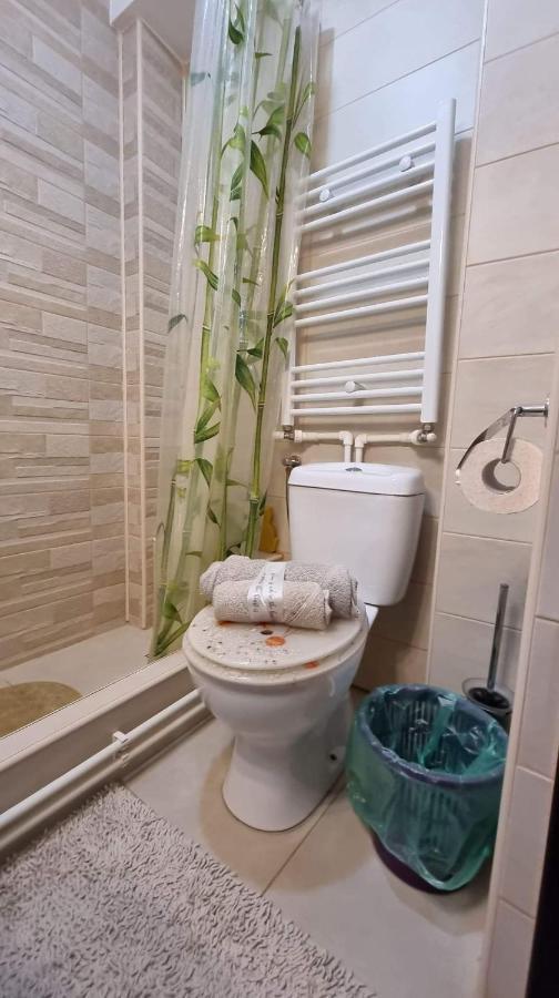 Studio Vale Apartment Hunedoara Exterior photo