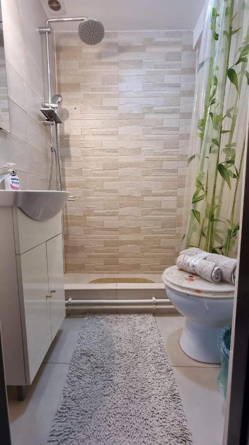 Studio Vale Apartment Hunedoara Exterior photo